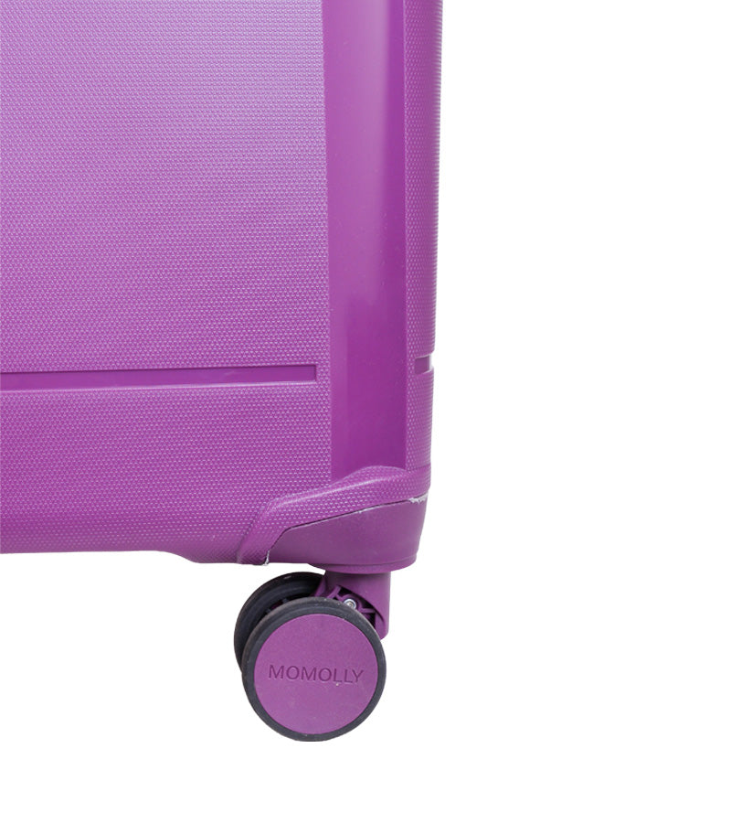 MOMOLLY Purple