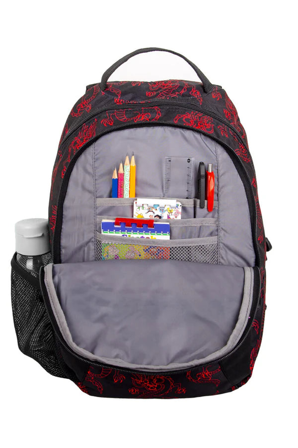 High sierra Curve Backpack