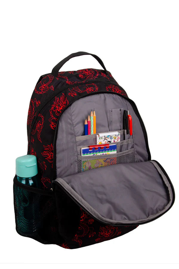 High sierra Curve Backpack